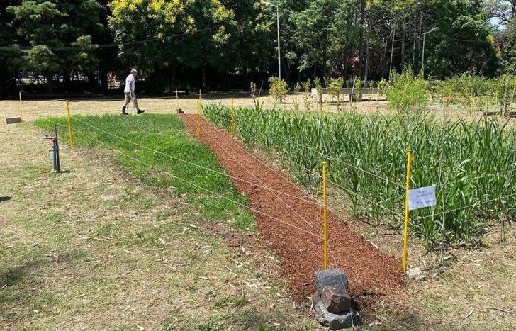 La escuela está ubicada sobre la Avenida Frías 1475.