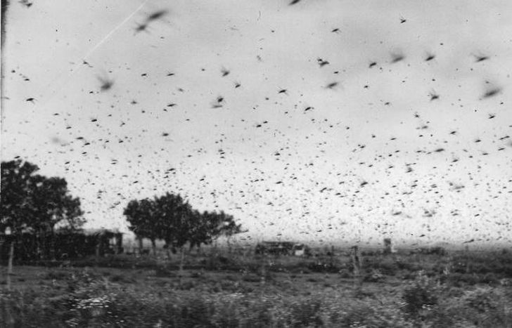 Foto de aquella invasión.