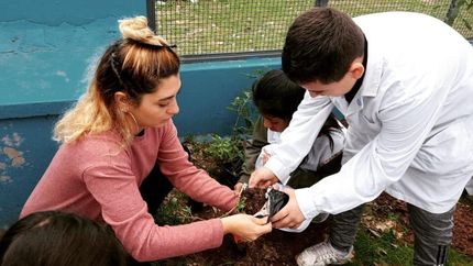Arman plantines y jardines de biodiversidad.