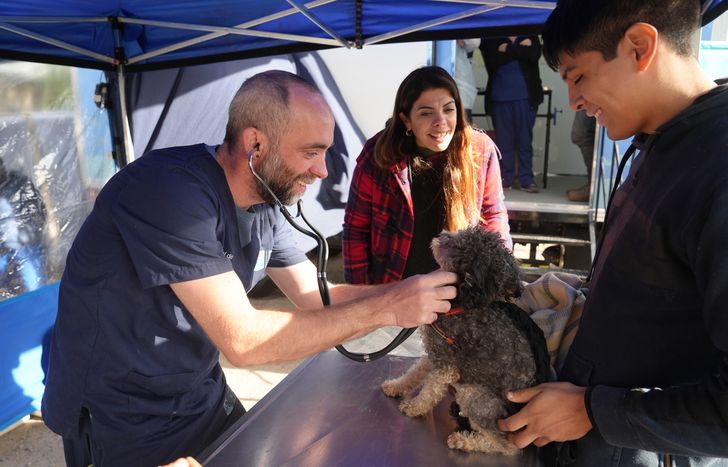 En Lomas incorporaron un quirófano móvil para fortalecer la atención veterinaria.