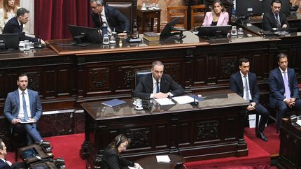 Manuel Adorni, con apoyo inédito del Gobierno en Diputados.