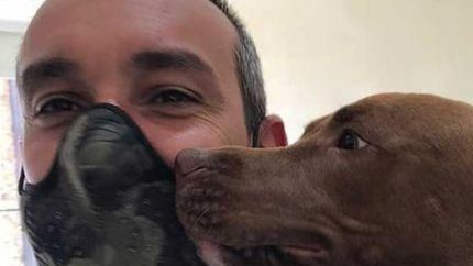Amor entre humanos y animales. De eso se trata la profesión.