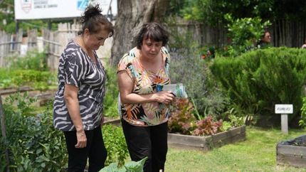 sigue adelante la entrega de kits de semillas agroecologicas en lomas
