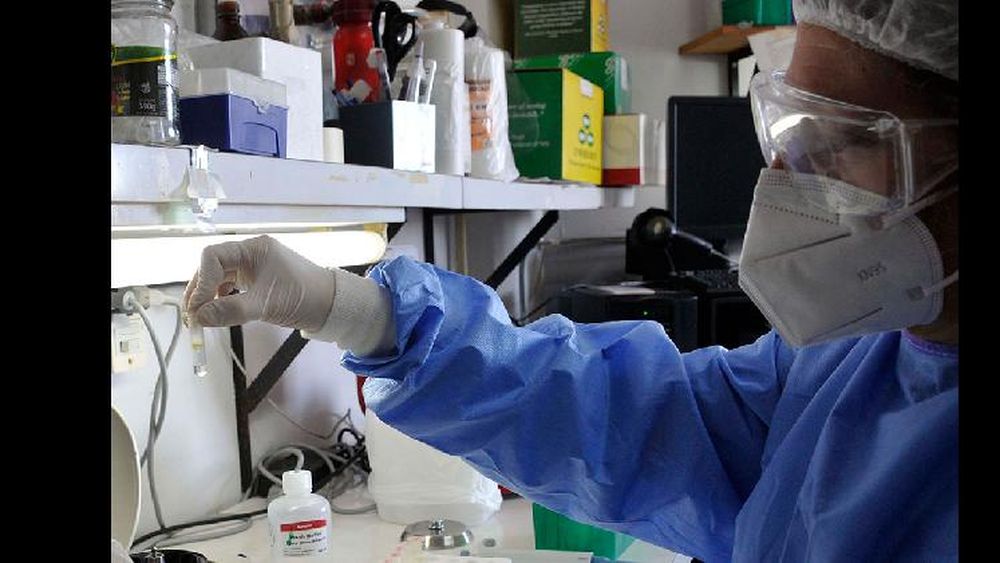 La mitad de los casos son de circulación comunitaria.