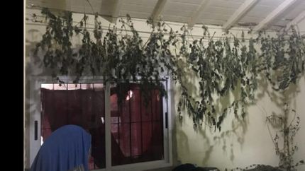 cierran un bunker narco en escalada