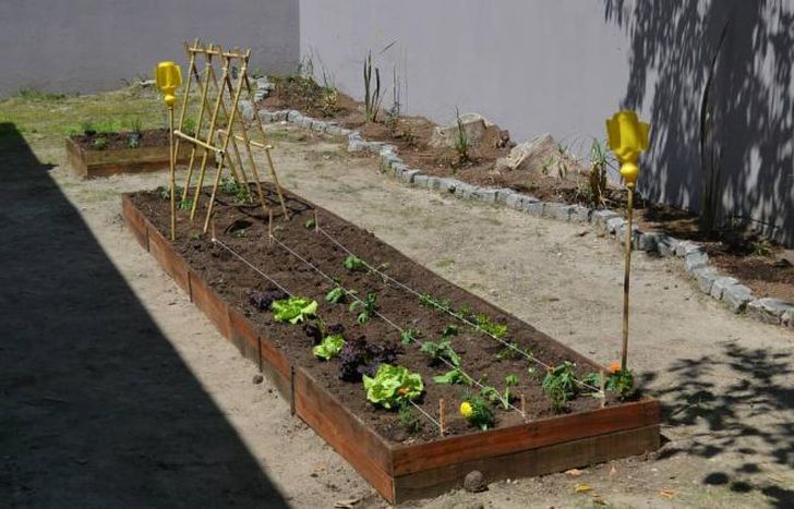 Cada vez más espacios de Lomas tienen su huerta propia.