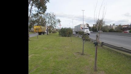 el municipio cierra mas basurales cronicos y los recupera con arboles