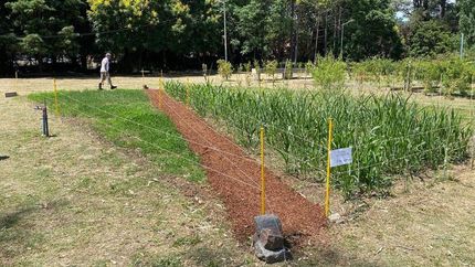 Las clases comenzarán en agosto con una cursada semanal.