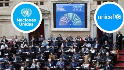 El proyecto para bajar la edad de imputabilidad a los 13 años tiene fuerte rechazo en organismos internacionales.