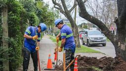 Habrá cortes de agua en Lomas la próxima semana.