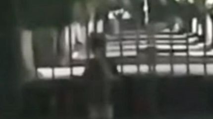 El niño fue visto en la puerta del cementerio, con un extraño comportamiento.