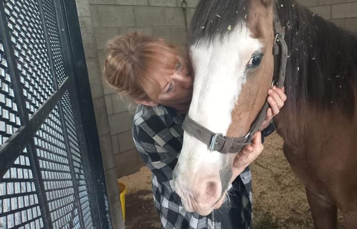Ángeles tiene aproximadamente 30 años. Sufrió maltrato y fue rescatada por la ONG.