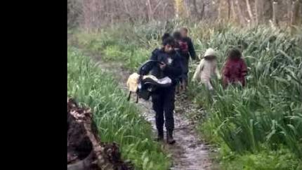 rescatan a cinco hermanitos de una zona boscosa de ensenada