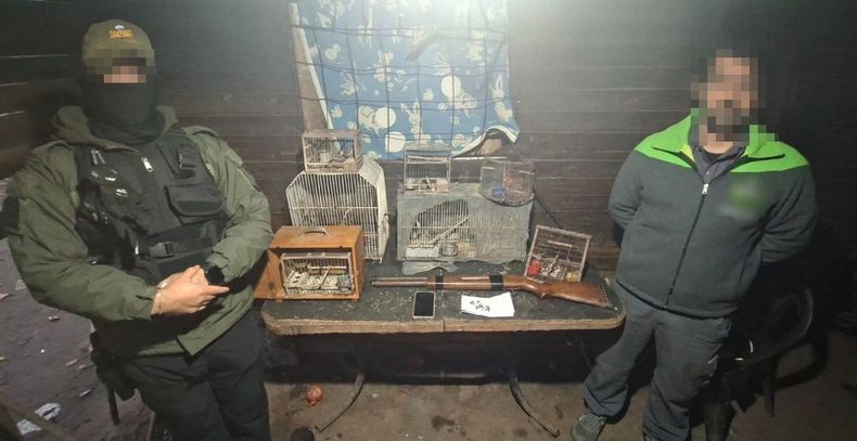 Los animales estaban encerrados en jaulas y eran vendidos por redes sociales.