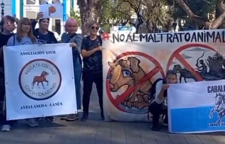 Distintas organizaciones estarán presentes para proteger a los animales.