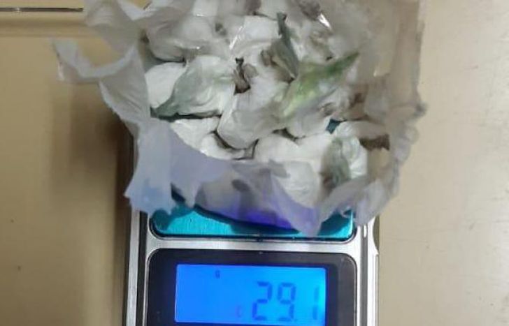 621082.jpg