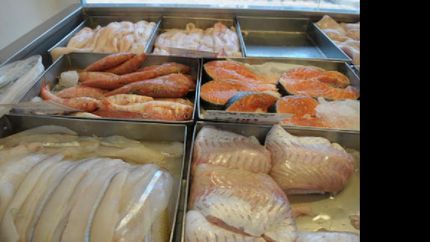 con aumentos de hasta el 40%, bajaron las ventas en pescaderias de lomas