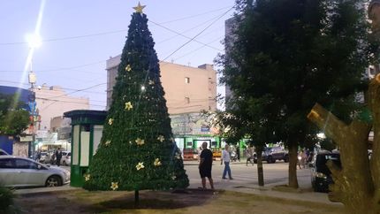 El árbol va a ser bendecido y luego quedará iluminado. El árbol va a ser bendecido y luego quedará iluminado.