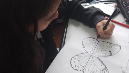 Mariposas de nuestra tierra es el tercer libro que saca la escuela.