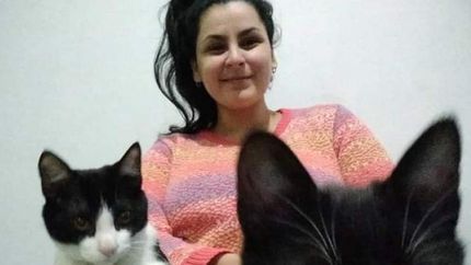 Responsabilidad ante la adopción de mascotas.