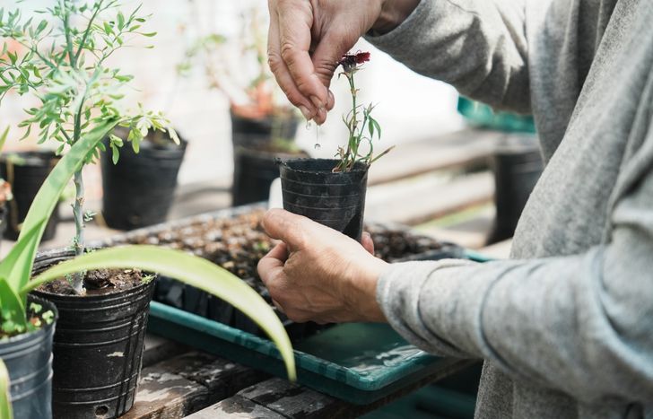 En Lomas trabajan con el paradigma de la soberanía alimentaria.
