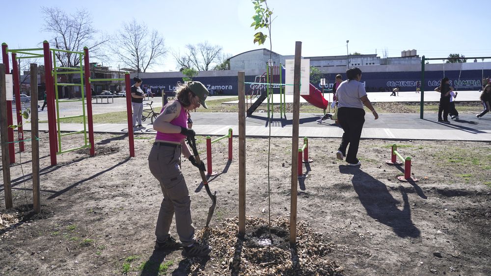 Hubo jornadas de forestacion en plazas e instituciones de Lomas de Zamora. Hubo jornadas de forestacion en plazas e instituciones de Lomas de Zamora.