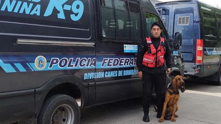 crimen de nancy videla: los canes, claves para el hallazgo