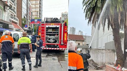 Las llamas pudieron ser apagadas rápidamente.