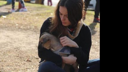 se viene una nueva jornada de adopcion en lomas se viene una nueva jornada de adopcion en lomas