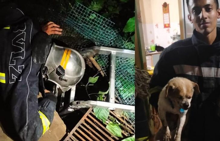 El perro se había caído a un pozo y no podía salir.