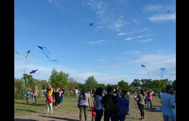 el cielo del parque se llenó de barriletes azules.