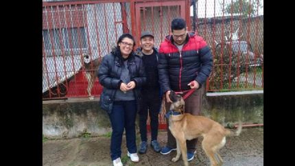 hallan a la perra rescatista que habia desaparecido en temperley