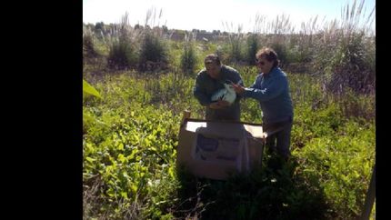 la reserva santa catalina, con nuevo habitante