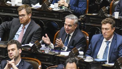 Se trata de un proyecto suavizado por Miguel Ángel Pichetto.