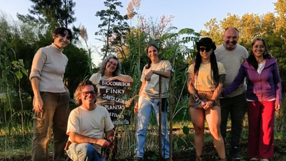 Plantas nativas en Turdera: convocan a otra jornada de germinación en el Parque Finky.