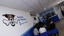 En el Hospital de Mascotas brindan atención las 24 horas.