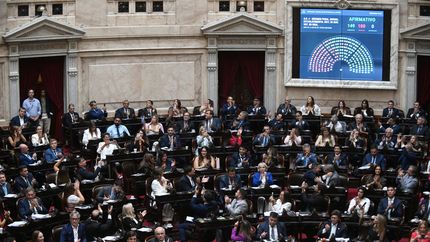 La Cámara de Diputados aprobó en general por 149 contra 100 votos el proyecto de la baja de la edad de imputabilidad.&nbsp;
