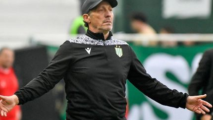 Pedro Troglio no ocultó su bronca por no clasificar a Banfield a los play-off del Torneo Clausura. Pedro Troglio no ocultó su bronca por no clasificar a Banfield a los play-off del Torneo Clausura.