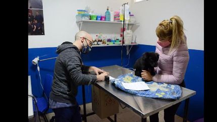como funciona el hospital de mascotas de lomas durante el aislamiento