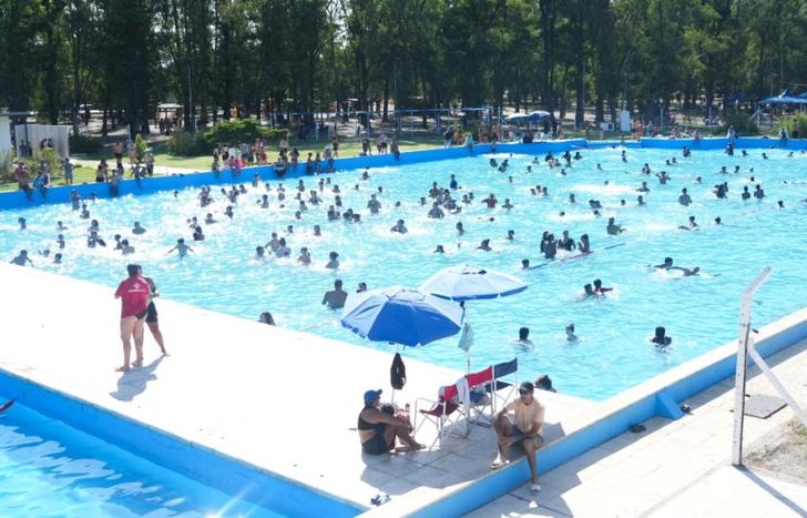 El predio está ubicado sobre la calle Homero 2601.