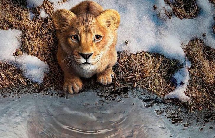 Mufasa, lo nuevo de El Rey León.