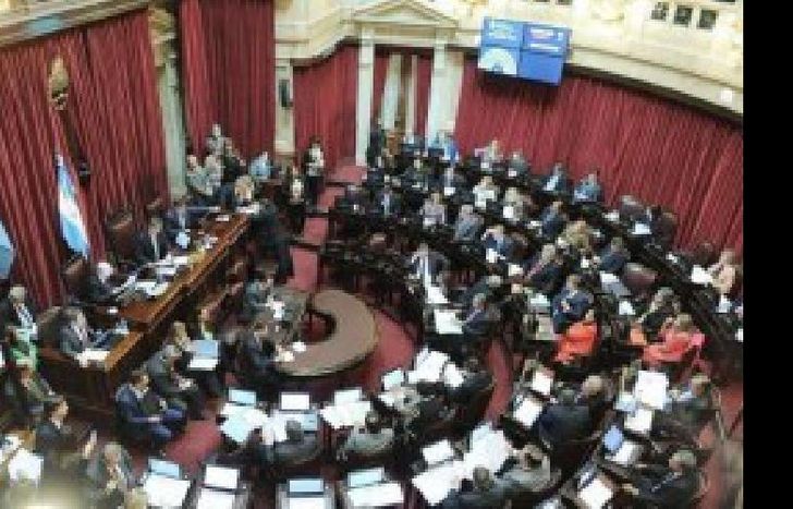 senado