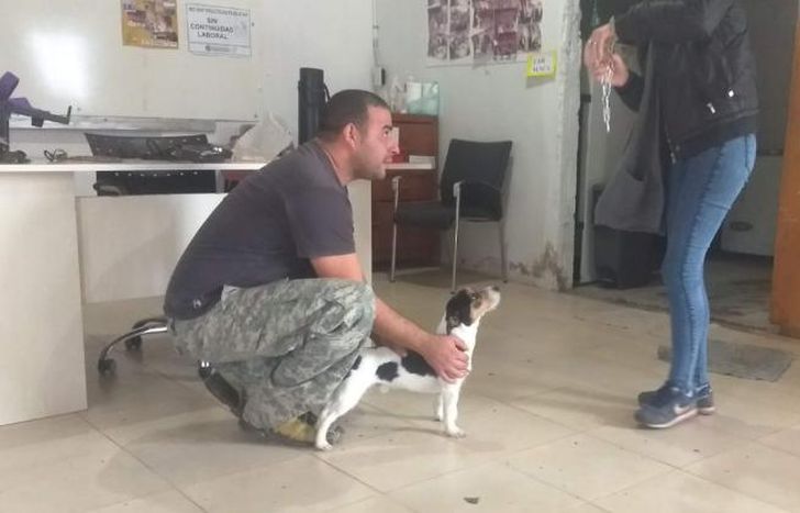 Para todo tipo de perros.