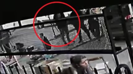 La prueba que presentaron las víctimas ante la Justicia.