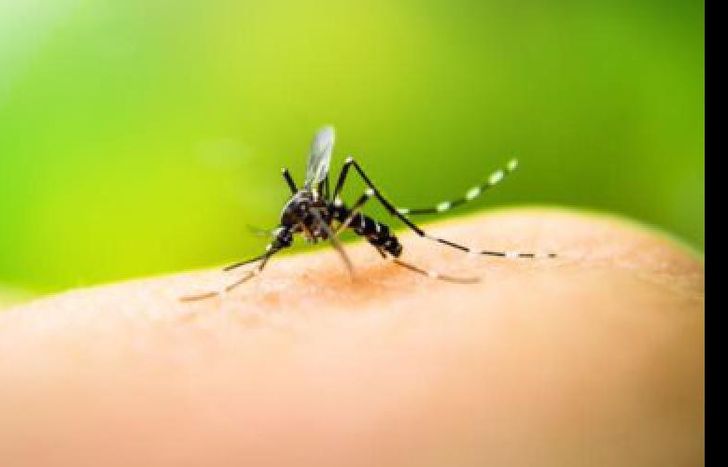 para tomar precauciones.