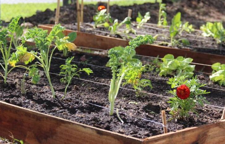 El curso arranca este jueves 3 de junio.