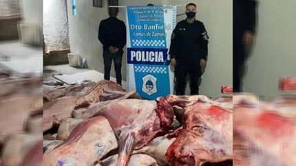 roban un camion con 46 medias reses de vaca valuadas en $5.4 millones