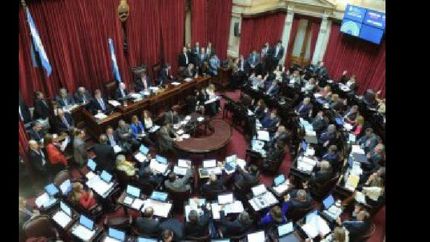 senado