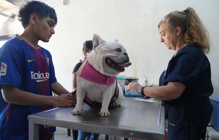 Arrancan los operativos para fortalecer la atención en los barrios de Lomas.