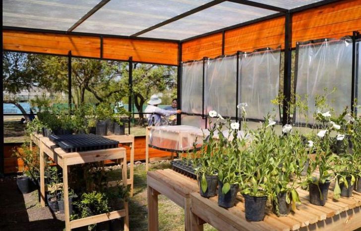 Armaron un invernáculo para potenciar la producción de plantas nativas.